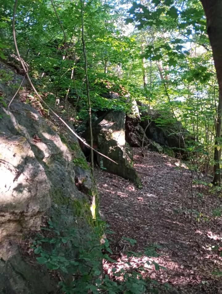 Domek Na Kamieniu Bieliny  외부 사진